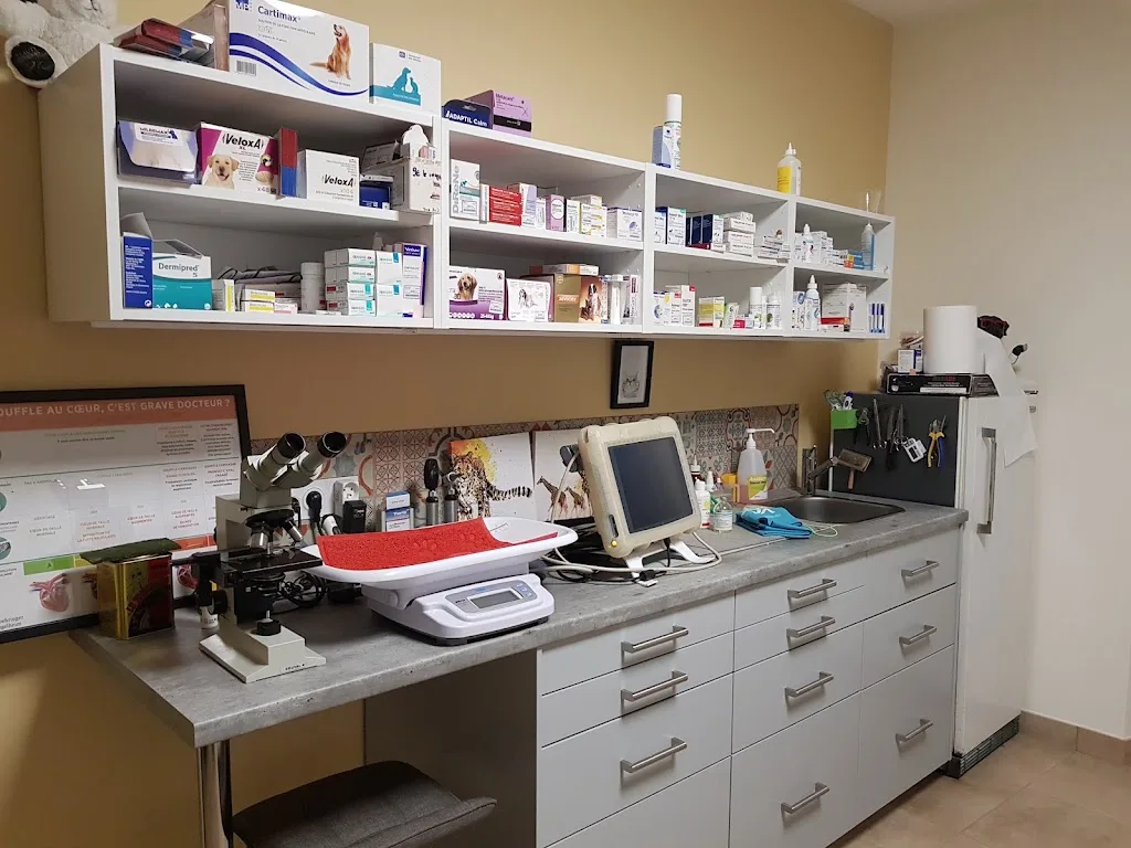 Clinique vétérinaire Crochelet - photo 1