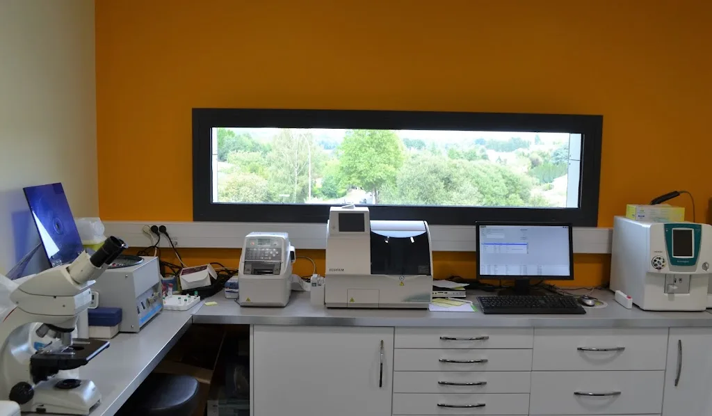 CABINET VÉTÉRINAIRE - photo 1