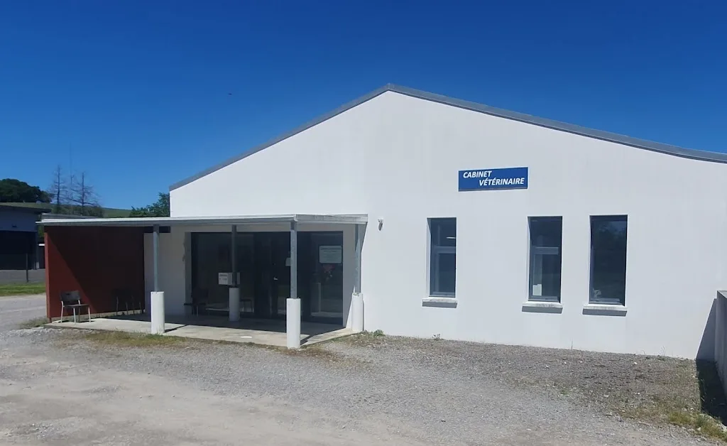 Les Vétérinaires Associés de St Palais - photo 2