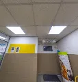 Cabinet vétérinaire Cyrnevet Bastia Lupino - photo 1