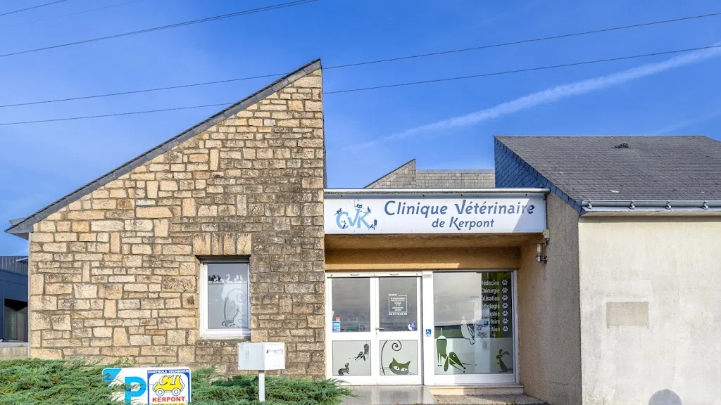 Soubies-camy Stephanie - photo 1