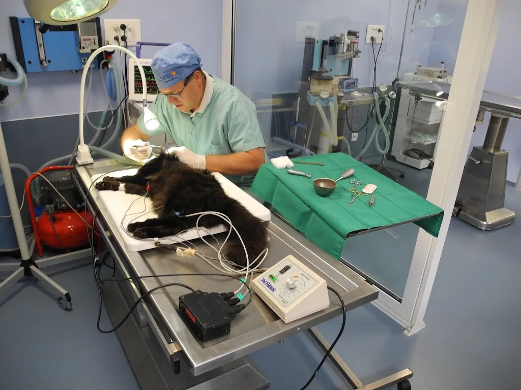 Clinique Vétérinaire du Docteur Ehlert, à Ménucourt - photo 1