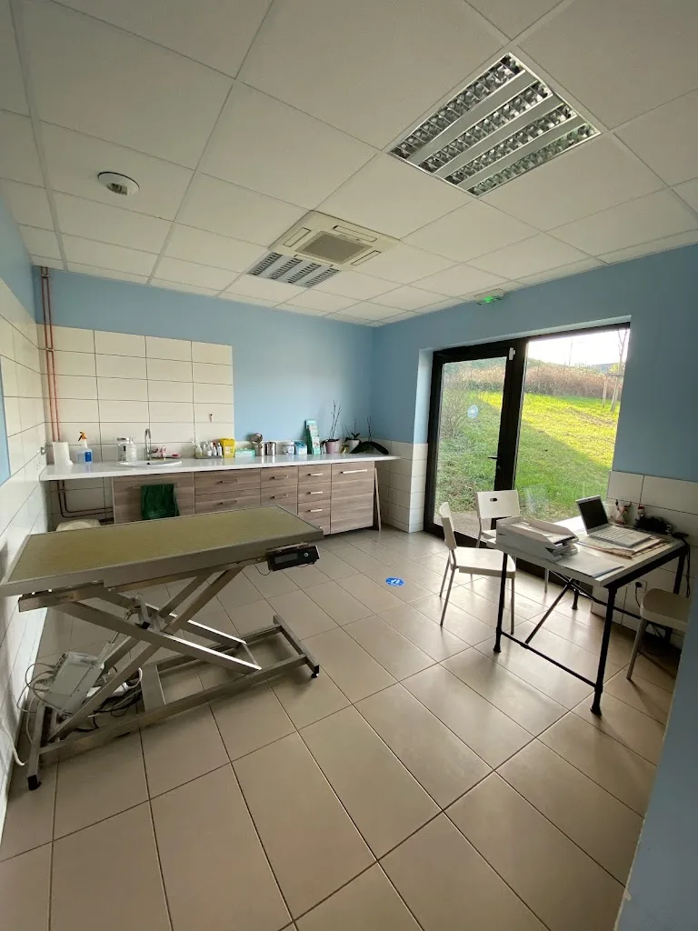 Clinique Vétérinaire du Beaujolais des Drs Descamps - Grange - photo 1