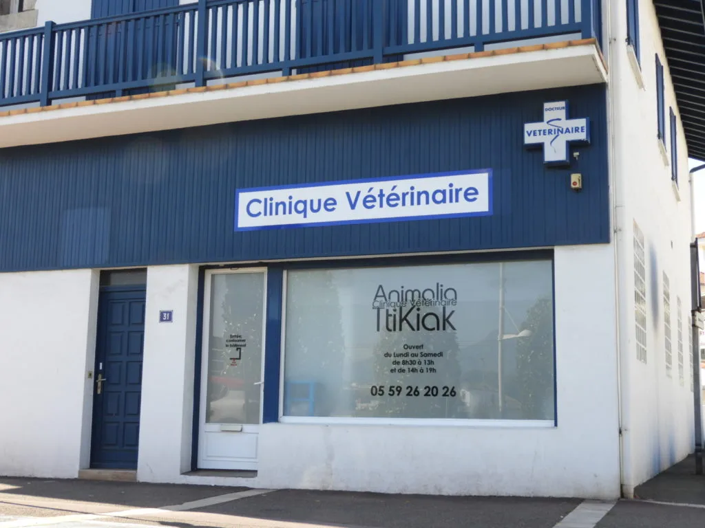 Clinique vétérinaire Hegal Zabal - Hendaye - photo 1