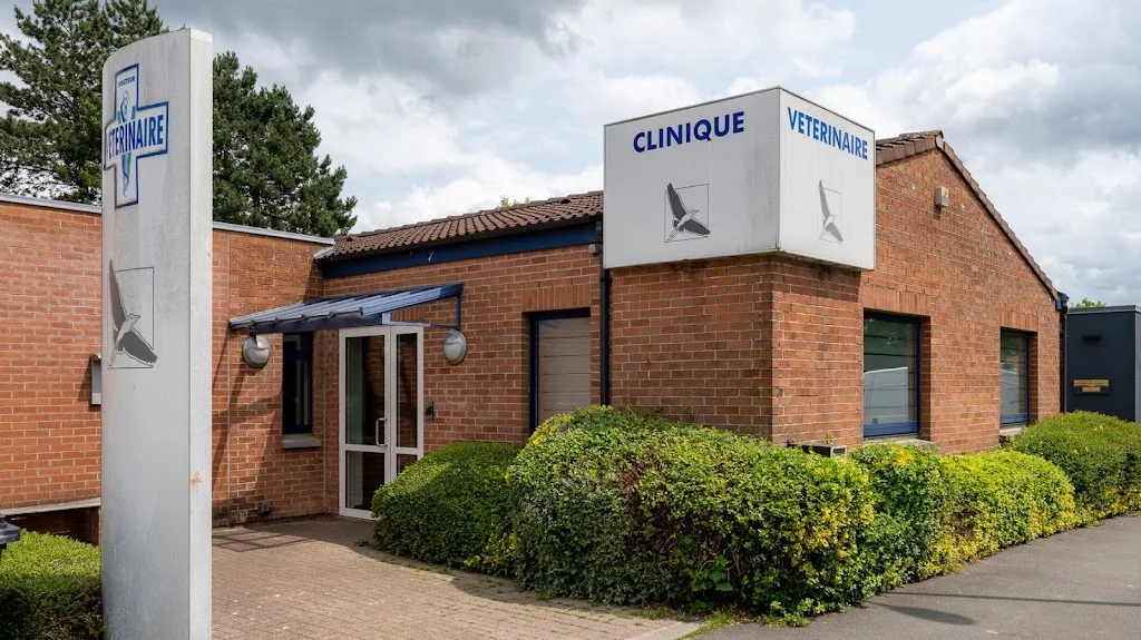 Clinique Vétérinaire les Alizés - photo 3