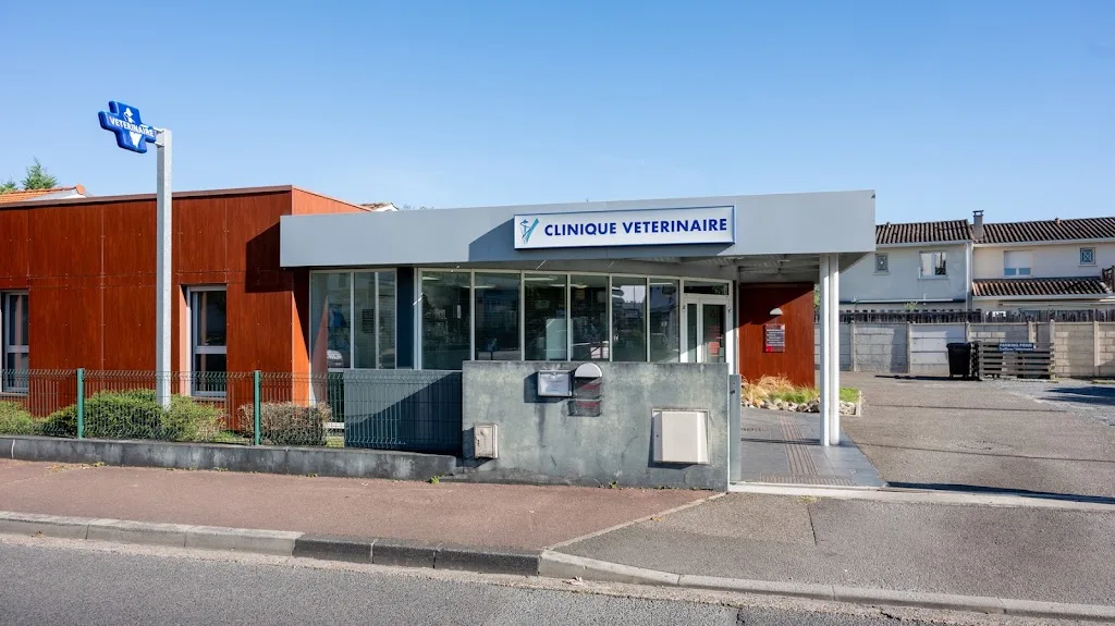 Vaudescal François - photo 2