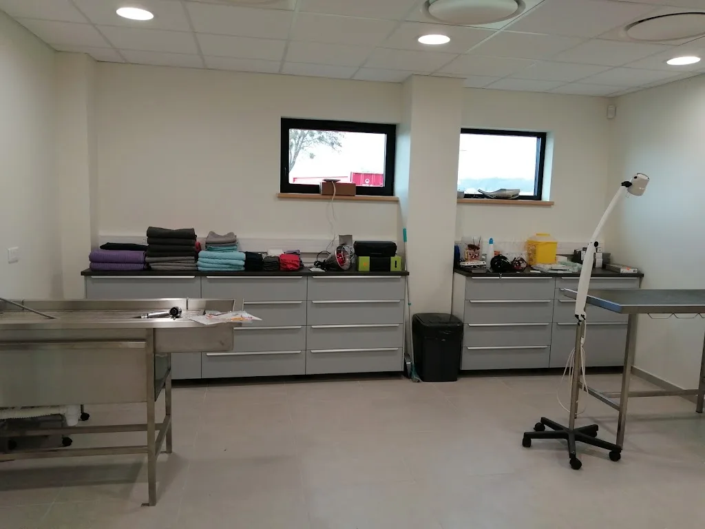 Clinique vétérinaire du Val Julien - photo 3