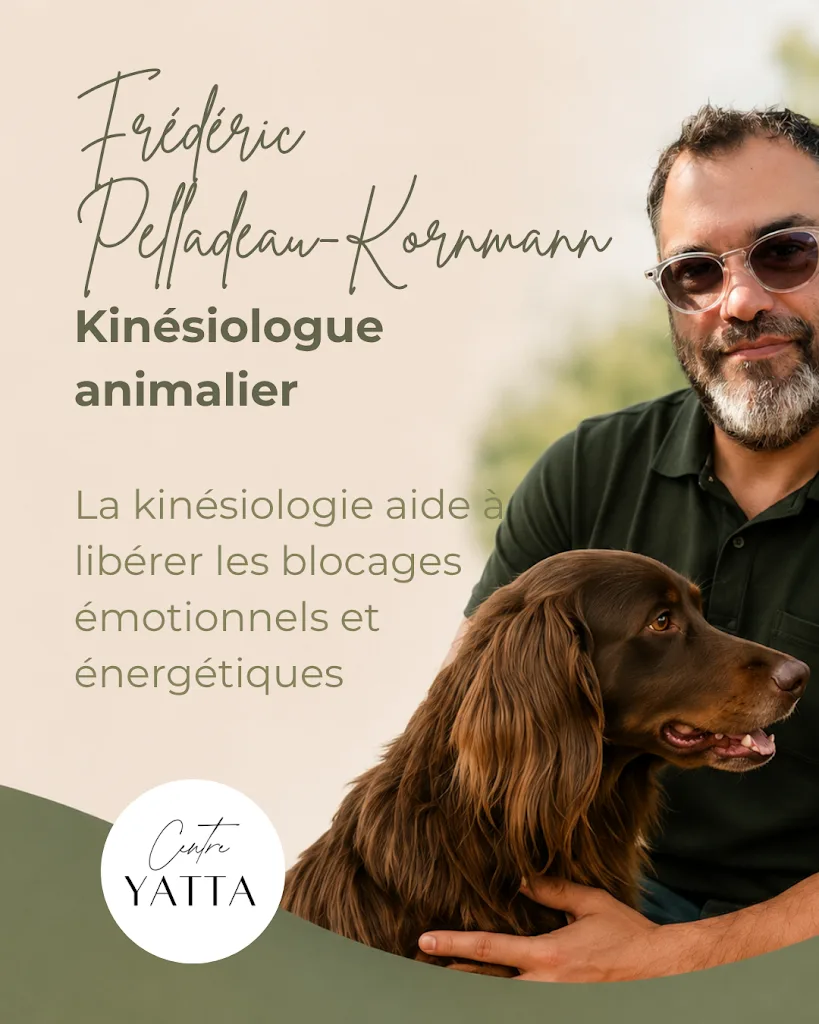 Centre Yatta - Célia Lang - Ostéopathe animalier en Alsace - photo 2