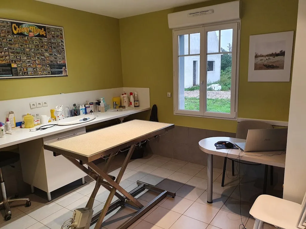 Clinique Vétérinaire Univet Cent Dunes - Condette proche Boulogne-sur-mer - photo 2