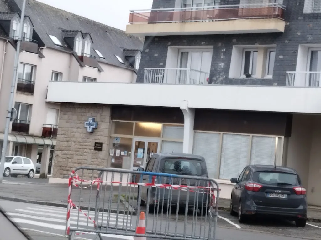 SELARL Vétérinaire du Poher - photo 1