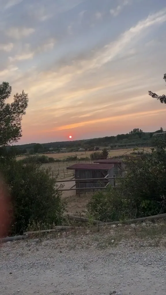 Clinique équine de Provence / Haras de la Trévaresse - photo 2