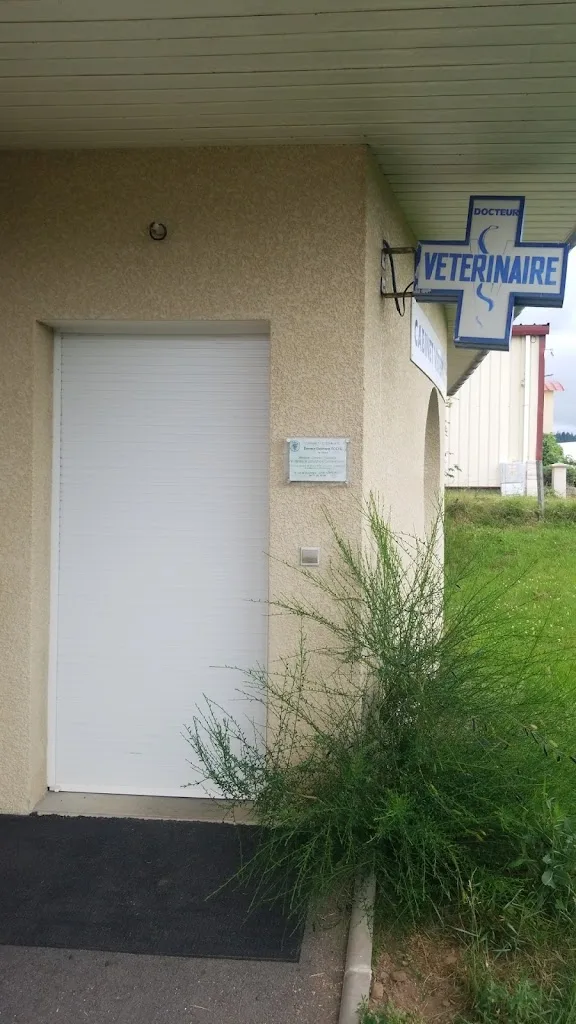 cabinet vétérinaire de noirétable - photo 1