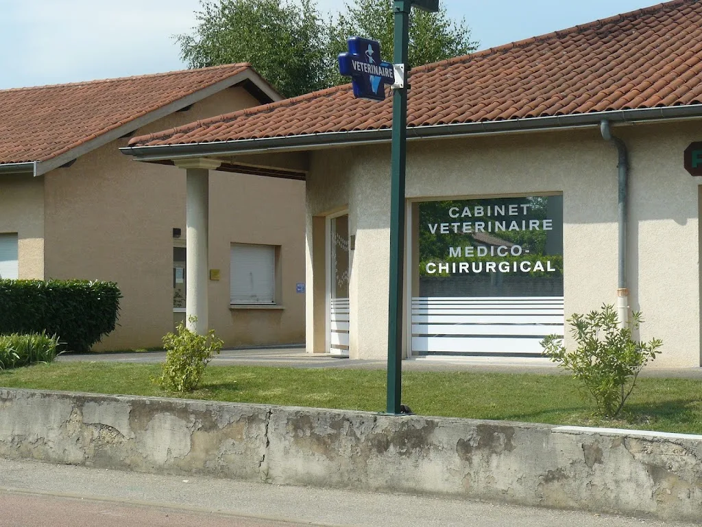 Clinique vétérinaire VETEA - photo 2