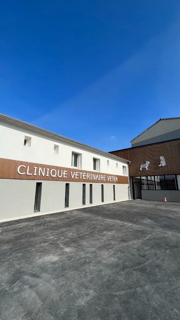 Clinique vétérinaire VETEA - photo 3