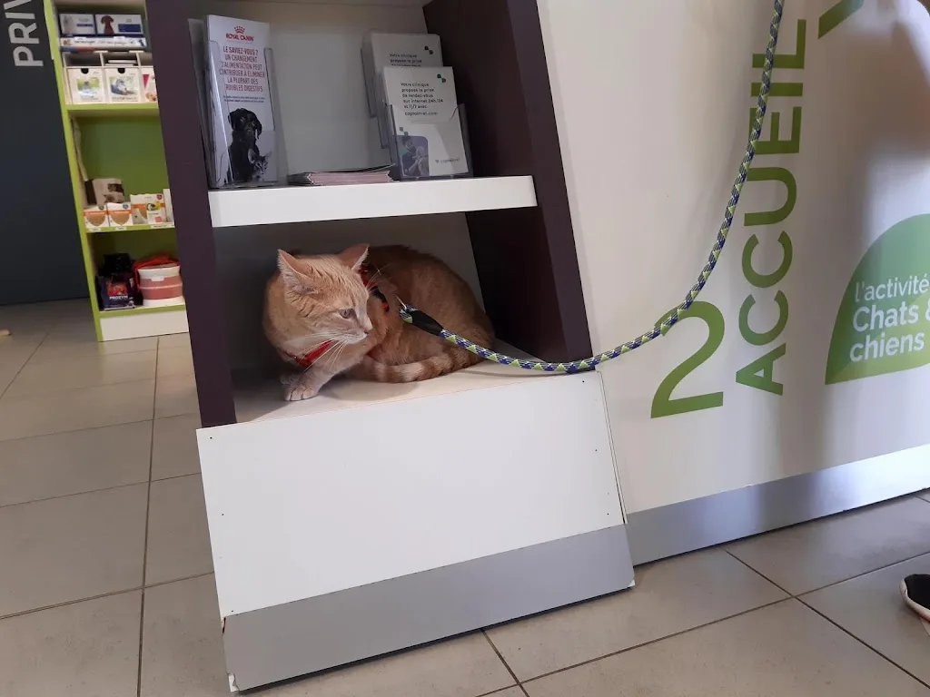 SASU VETERINAIRE DU DOCTEUR ABDELLAHI - photo 2