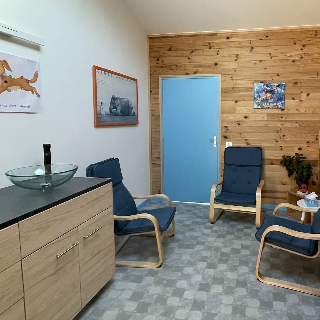 Cabinet vétérinaire Dr Pinori Lydie - photo 1