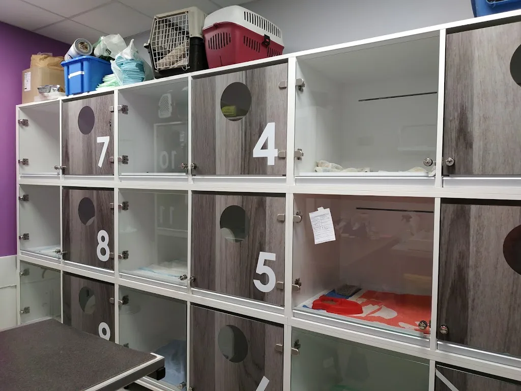 Clinique Vétérinaire Mandarine - photo 2