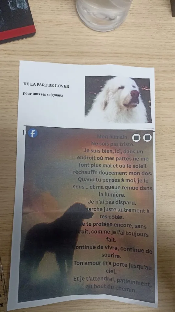 ZOETIM Cliniques Vétérinaires - photo 2