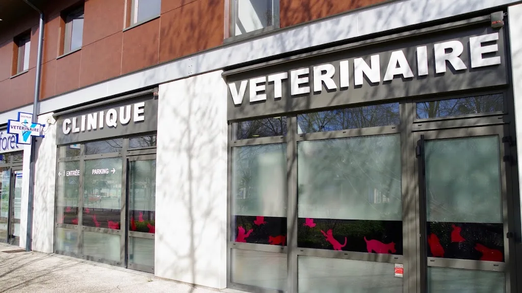 Clinique vétérinaire AMIVET Montevrain - photo 1