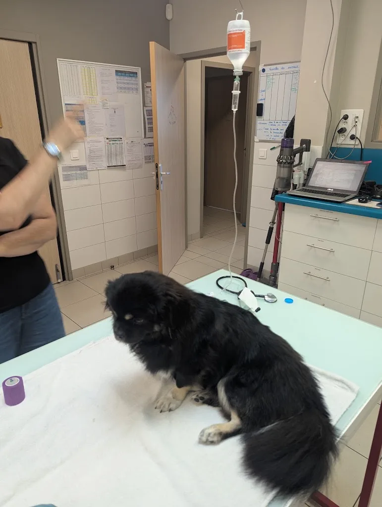 Clinique Veterinaire - photo 2