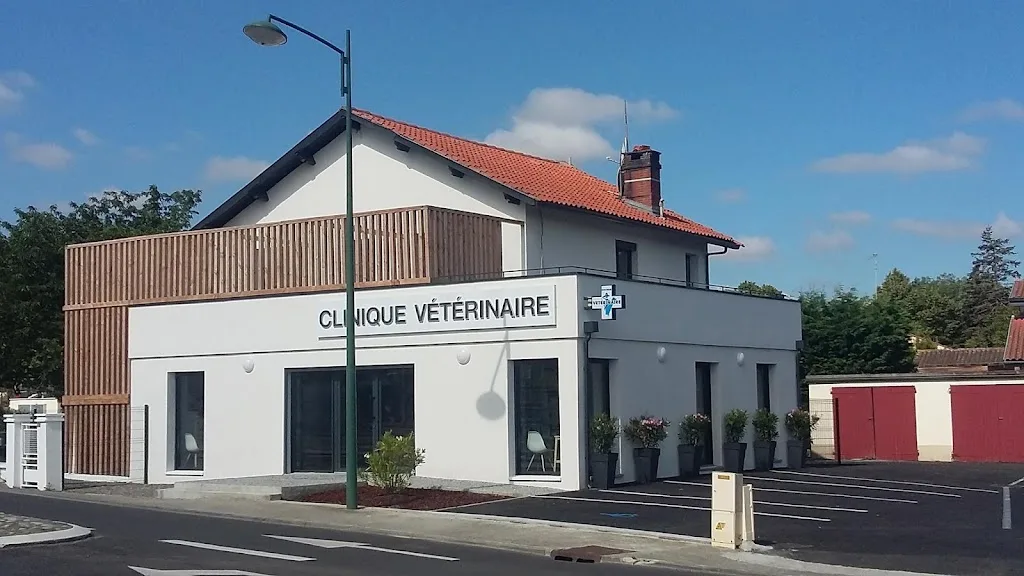 Clinique vétérinaire des Açores - photo 2