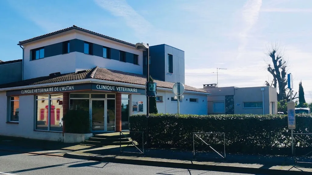 Clinique vétérinaire des Açores - photo 3
