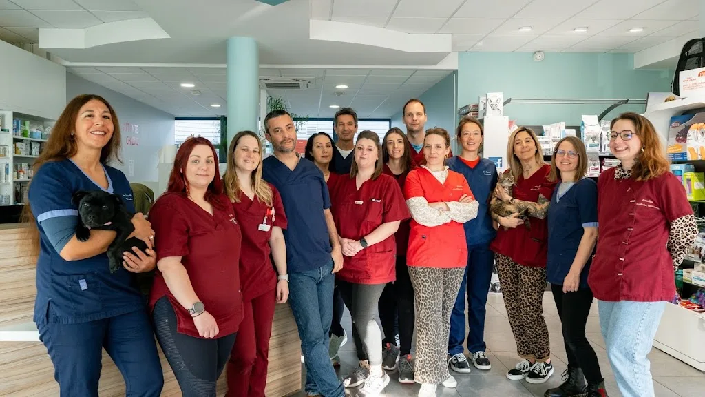 Clinique Vétérinaire Argos Lorient la Découverte - photo 1