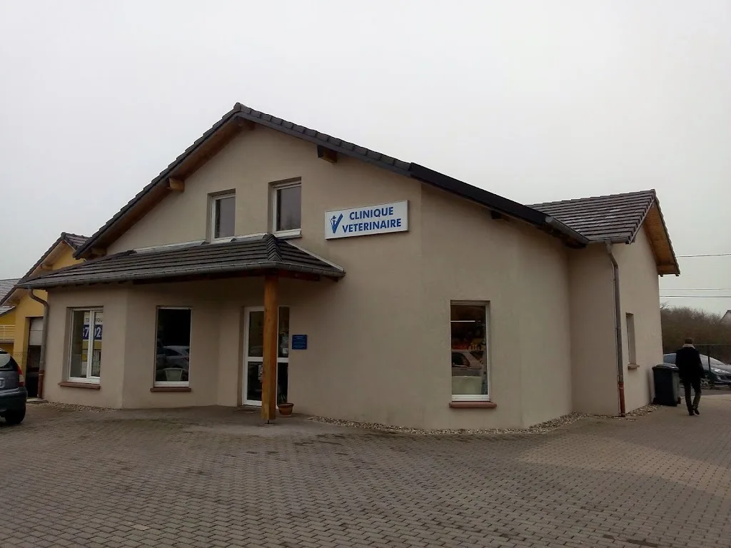Clinique Vétérinaire du Stockwald - photo 1