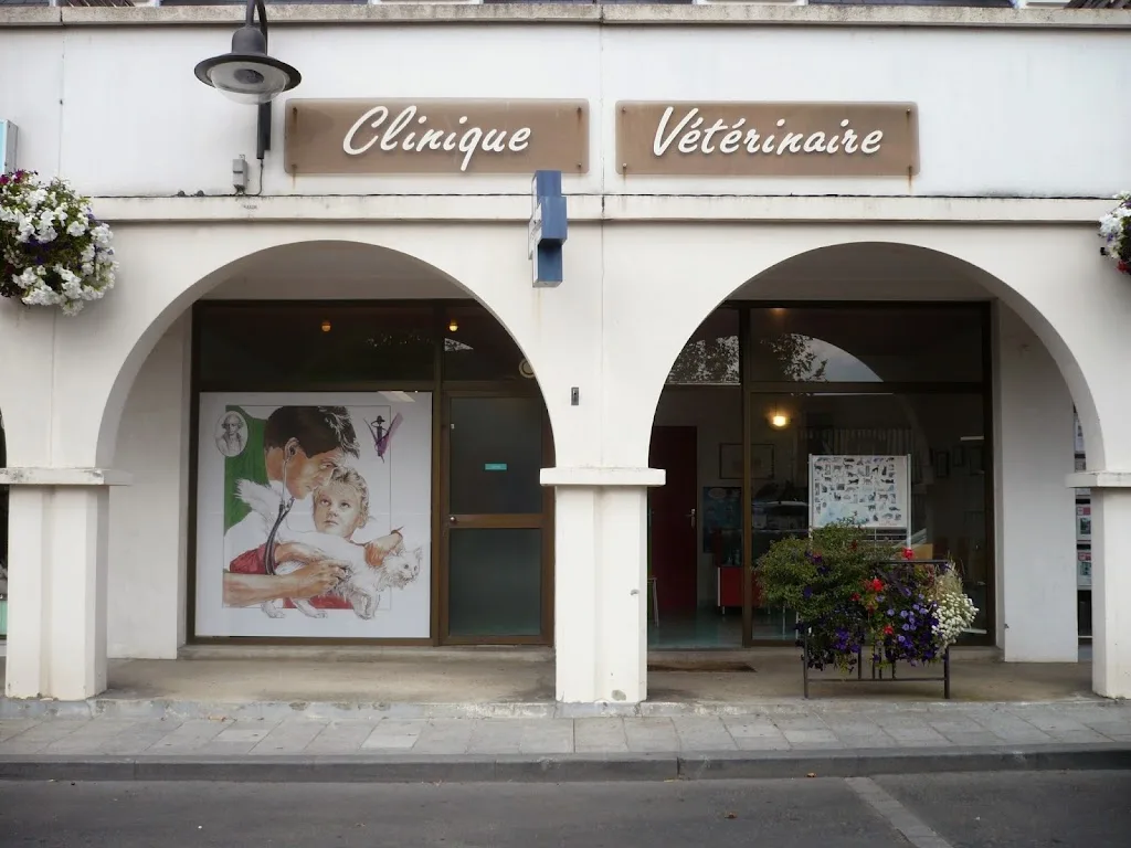 Clinique vétérinaire des Dunettes - photo 1