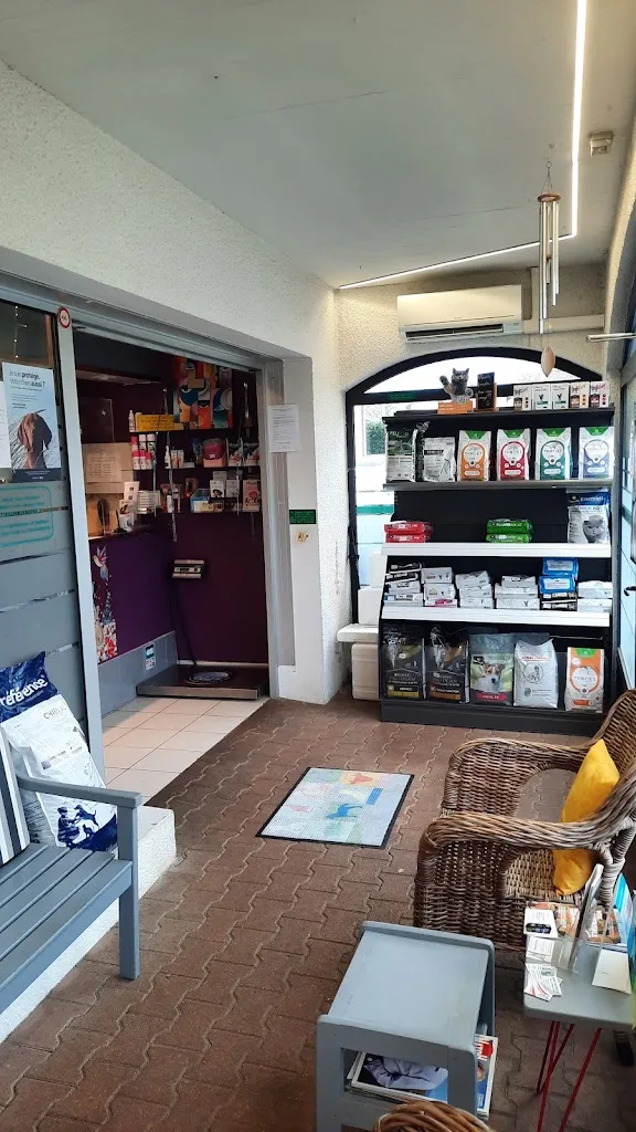 CLINIQUE VETERINAIRE KEROUEDAN - photo 1