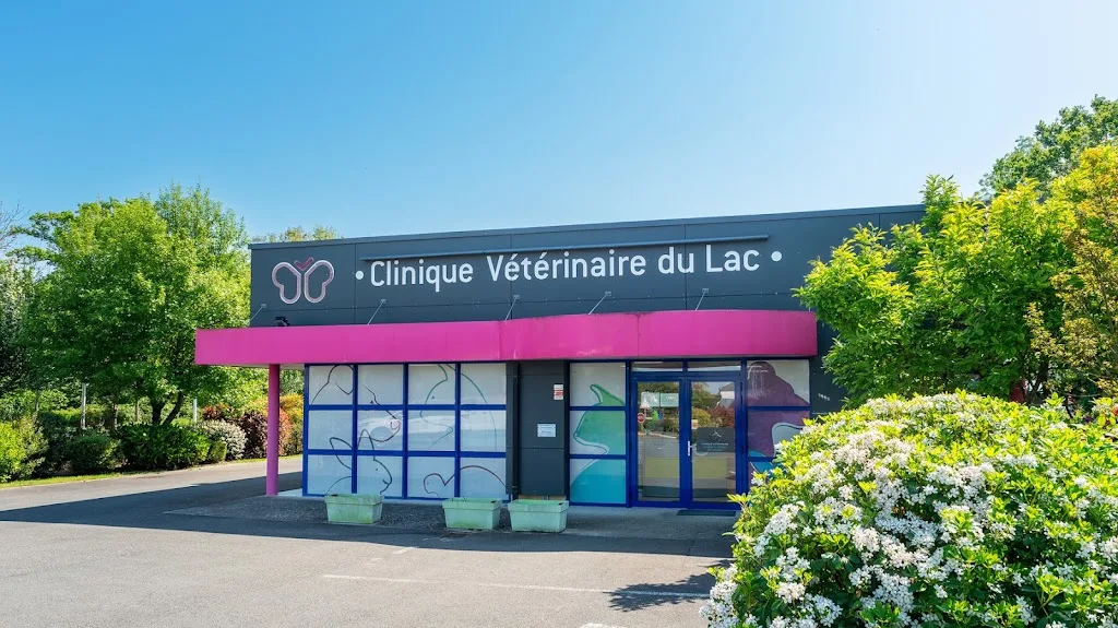 Clinique Vétérinaire Sud Mayenne Loiron - photo 3
