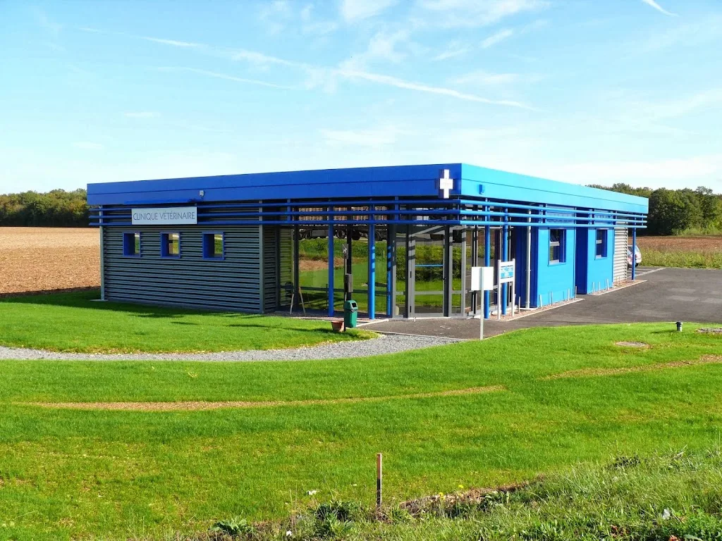 Clinique Vétérinaire Des Tilleuls - photo 1