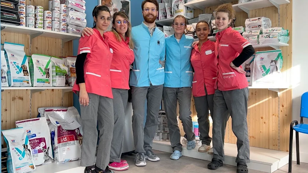 Clinique Vétérinaire la Calypso - photo 3