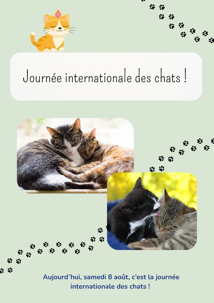 Mon Chat et Moi, vétérinaires à Angers - photo 1