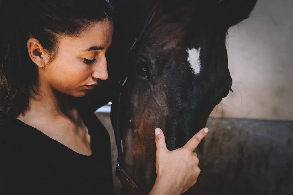 vetokineosteo - Dr Vet Fleur MARCEL - photo 1