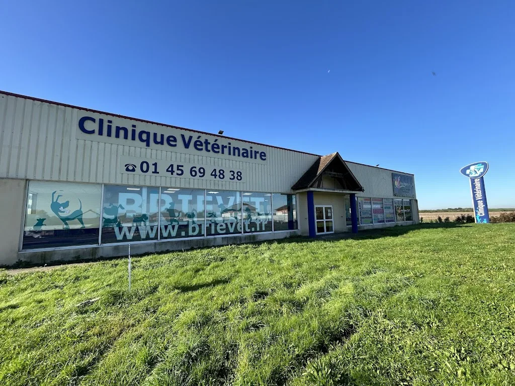 vetokineosteo - Dr Vet Fleur MARCEL - photo 3