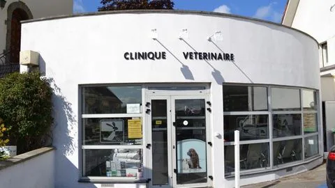 Clinique vétérinaire Opal'Vet - photo 1