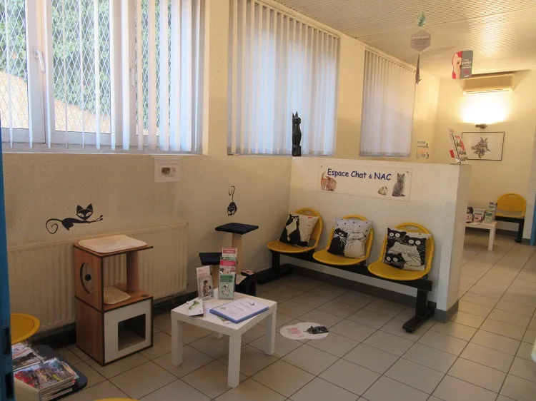 Clinique Vétérinaire des Collines Dr ACCARY - photo 1