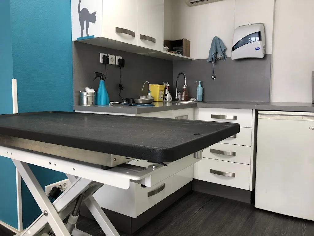Clinique Vétérinaire du Mesnil - photo 1