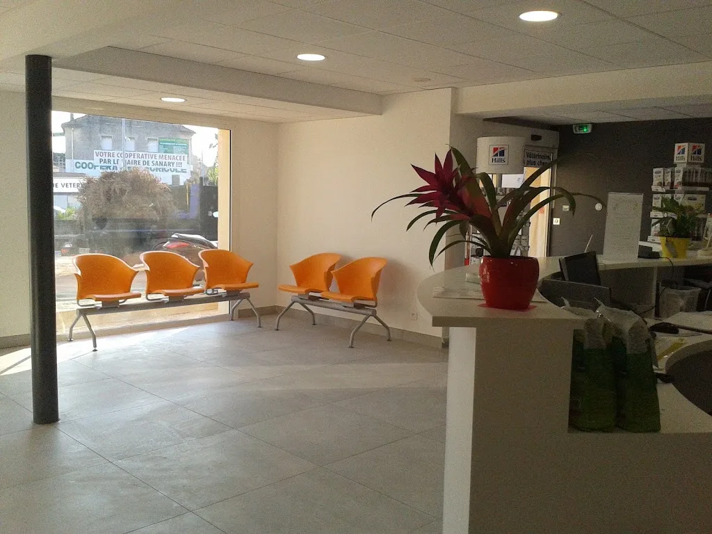 Clinique Veterinaire Les Palmiers - photo 2