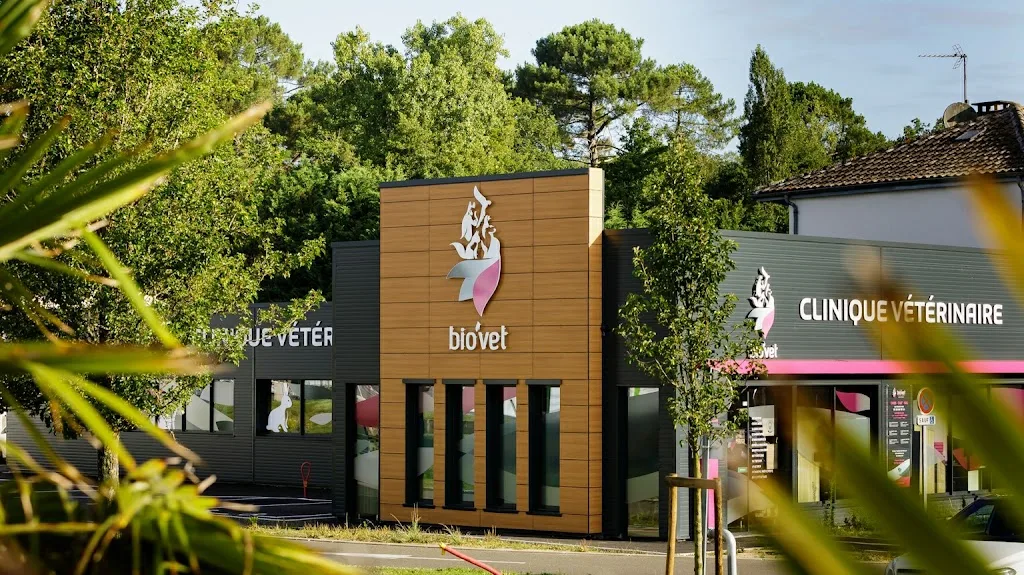 Bio'Vet St-Martin-de-Seignanx - photo 1