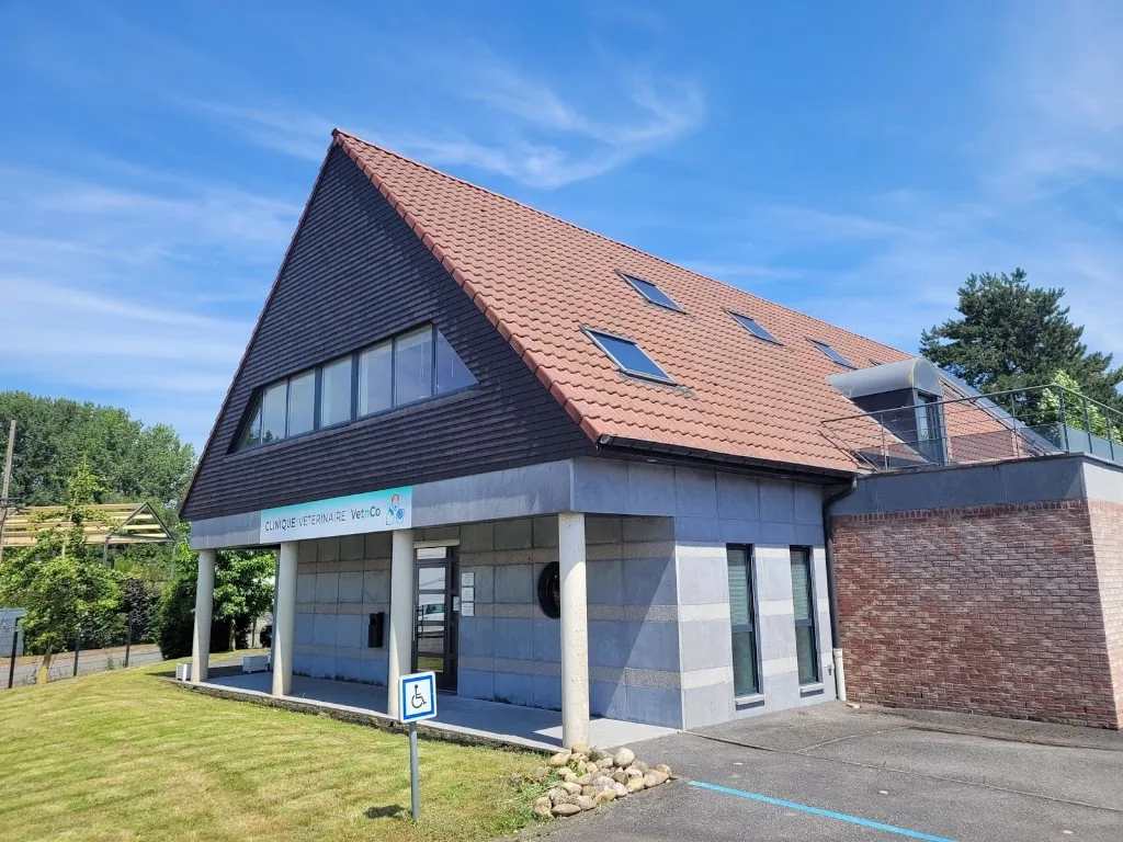 Clinique Veterinaire Notre Dame - photo 2