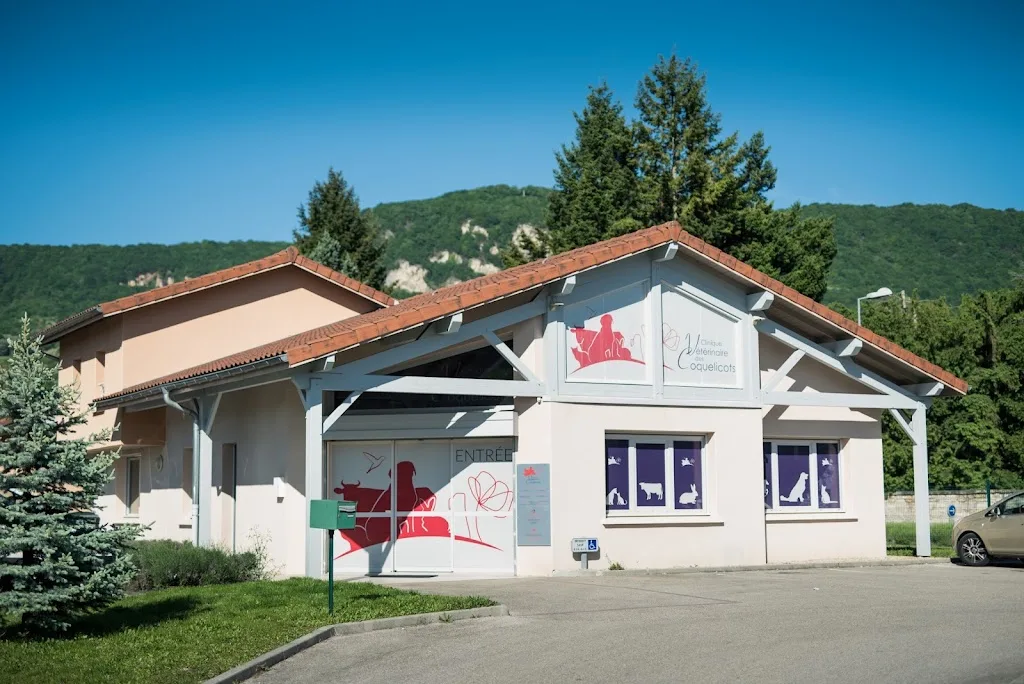 Clinique Vétérinaire de l'Albarine - photo 3