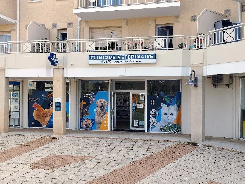 Clinique vétérinaire LAGARDETTE - photo 2