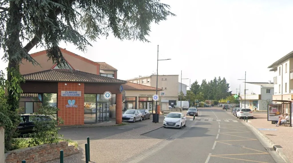 CLINIQUE VETERINAIRE TOLOSA’VET - photo 2