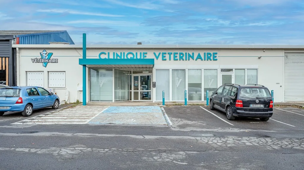 Clinique vétérinaire St Avertin | Fovéa - photo 2