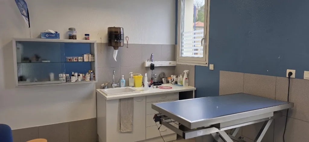 Clinique vétérinaire des Mizottes - photo 1