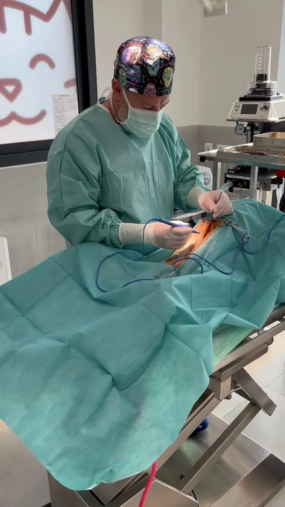 Clinique Vétérinaire VetEtoile - photo 2