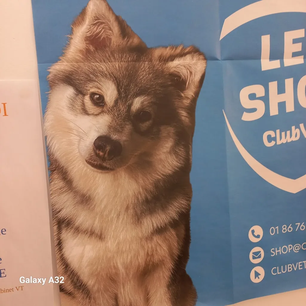 Cabinet Veterinaire de Trez Menon As - photo 2