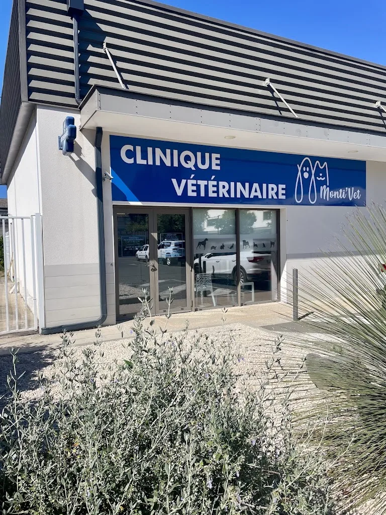 SCP Limier Rols - photo 2